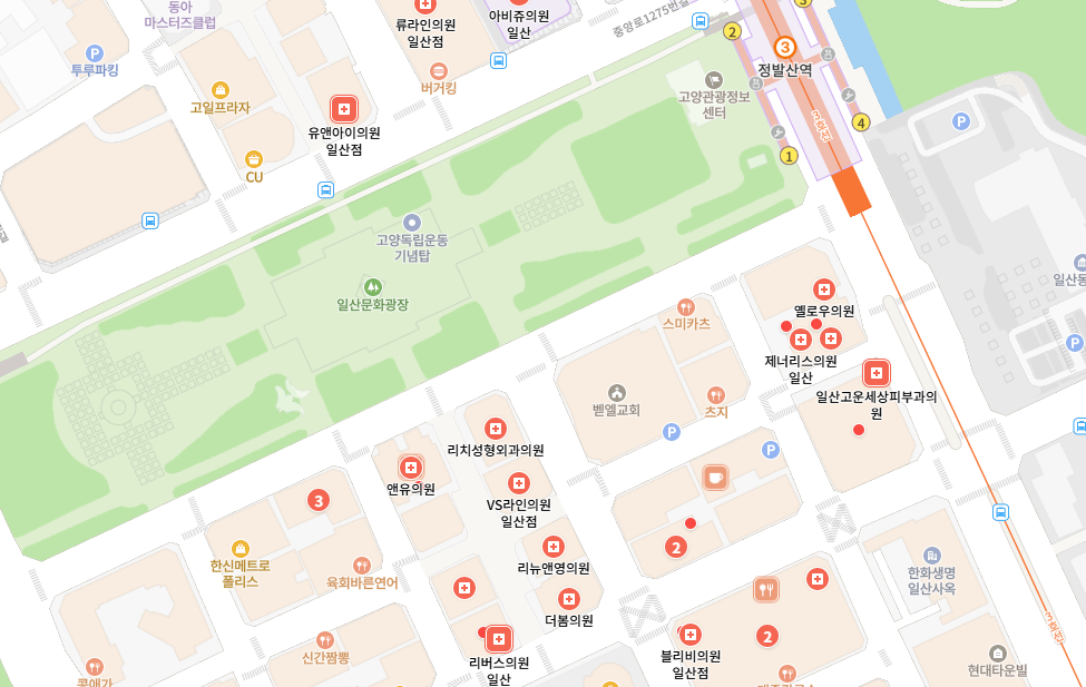 지도 검색 화면에 정발산역 주변 여러 피부과가 표시된 모습