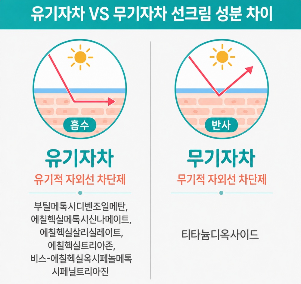 유기자차는 자외선을 흡수해 열로 방출하고, 무기자차는 자외선을 표면에서 반사시키는 원리 차이를 보여주는 도포 단면 그림